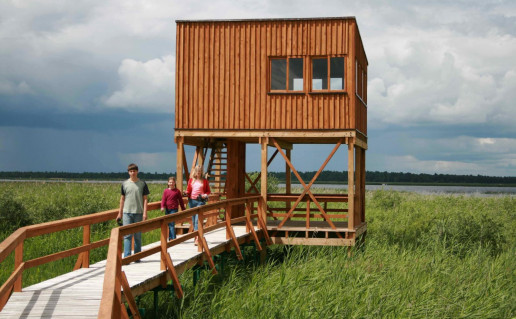 4_Žuvinto ež. apžvalgos bokštelis.jpg